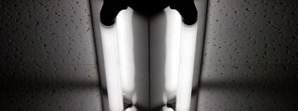 Foto: studio curve / Flickr Foto: studio curve / Flickr