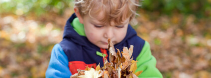 Foto: Irina Schmidt Shutterstock Foto: Irina Schmidt Shutterstock