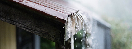 Foto: Michael Verhoef / Flickr Foto: Michael Verhoef / Flickr
