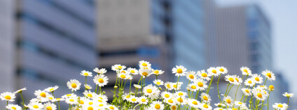 Foto: kazoka / Shutterstock Foto: kazoka / Shutterstock