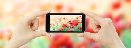 Foto: Pakhryushcha / Shutterstock Foto: Pakhryushcha / Shutterstock