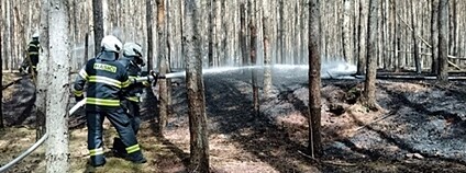Požár na Jičínsku 16. dubna 2025 Foto: Lesy ČR Požár na Jičínsku 16. dubna 2025 Foto: Lesy ČR