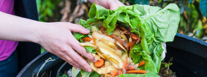 Bioodpad Foto: Pixavril Shutterstock Bioodpad Foto: Pixavril Shutterstock