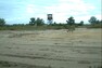 Lužická krajina s vlkem Lužická krajina s vlkem