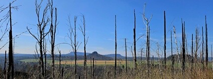 Správy národních parků v Českosaském Švýcarsku otevřely novou přeshraniční trasu Foto: MŽP ČR Správy národních parků v Českosaském Švýcarsku otevřely novou přeshraniční trasu Foto: MŽP ČR