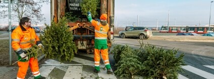 Foto: Pražské služby Foto: Pražské služby