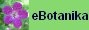 eBotanika