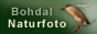 Fotografie a fotky Naturfoto.cz
