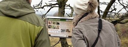 Foto: ČSOP Foto: ČSOP