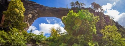 Foto: Alice_D / stock.adobe.com Foto: Alice_D / stock.adobe.com