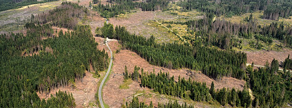 Foto: SVOL Foto: SVOL