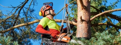 Foto: Depositphotos Foto: Depositphotos