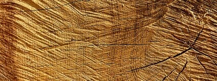 Foto: Kat... / Flickr Foto: Kat... / Flickr