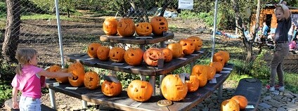 Foto: Nadace Partnerství Foto: Nadace Partnerství