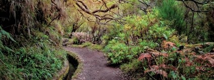 Foto: Wynian / Shutterstock Foto: Wynian / Shutterstock