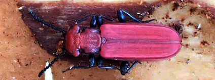 Foto: Ondřej Sabol Foto: Ondřej Sabol