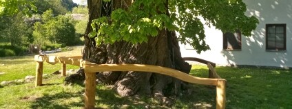 Foto: ČSOP Foto: ČSOP