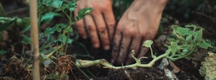 Foto: Jonathan Kemper / Unsplash Foto: Jonathan Kemper / Unsplash