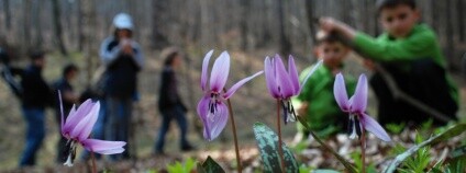 Foto: Archiv ČSOP Foto: Archiv ČSOP