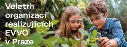 Ve dnech 30.–31.5.2025 se bude konat Veletrh organizací realizujících EVVO Foto: MHMP Ve dnech 30.–31.5.2025 se bude konat Veletrh organizací realizujících EVVO Foto: MHMP