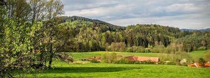 Foto: RobertSedlakCz / Pixabay Foto: RobertSedlakCz / Pixabay