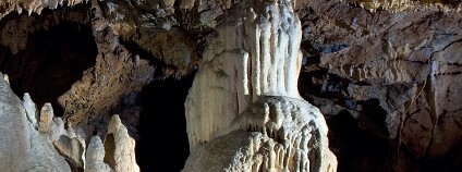 Foto: Ochrana přírody Foto: Ochrana přírody