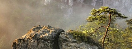 Foto: Ochrana přírody Foto: Ochrana přírody