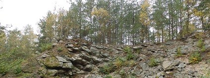 Foto: NET4GAS Blíž přírodě / Český svaz ochránců přírody (ČSOP) Foto: NET4GAS Blíž přírodě / Český svaz ochránců přírody (ČSOP)