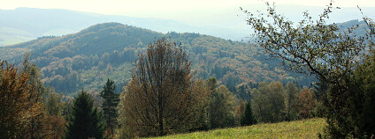 Foto: Kateřina Landová / ČSOP Foto: Kateřina Landová / ČSOP
