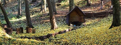 Foto: ČSOP Foto: ČSOP