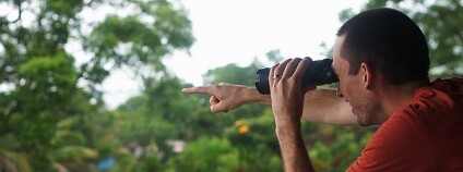 Foto: Nathan Forget / Flickr Foto: Nathan Forget / Flickr