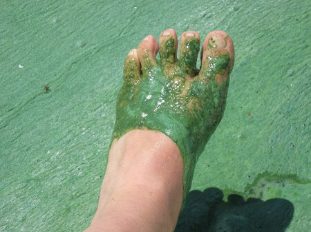 V tomhle se raději nekoupejte. V tomhle se raději nekoupejte.